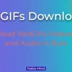Redgif Downloader